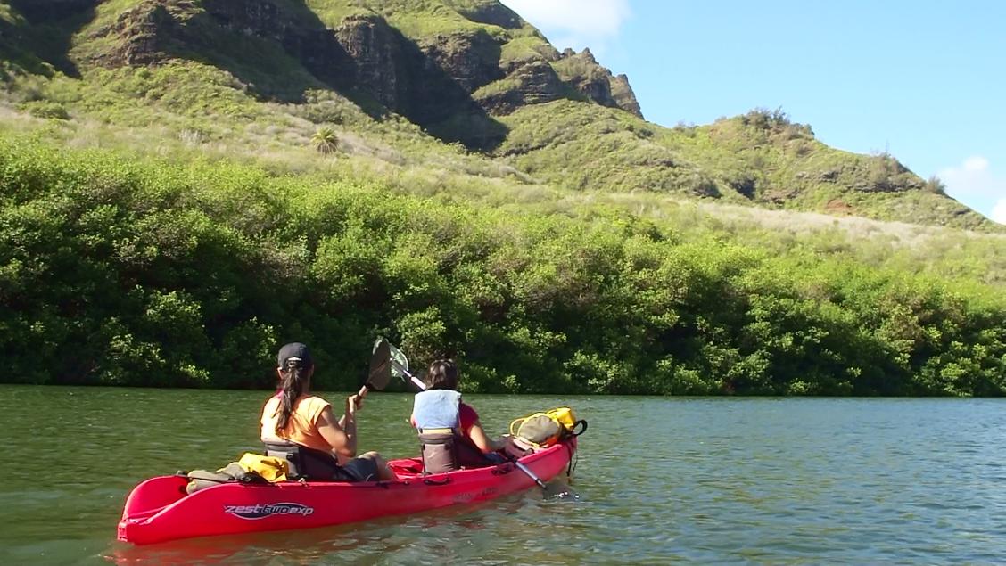 Wailua River Kayak Tour - Rainbow Kayak Tours